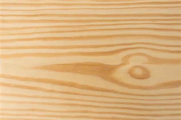 Southern Yellow Pine