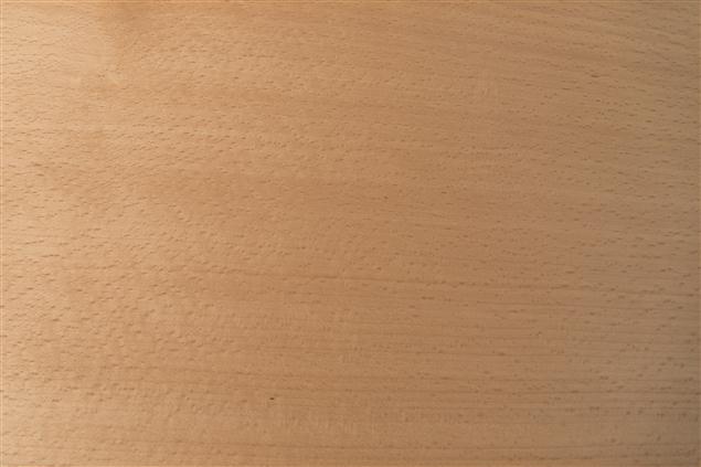 Beech