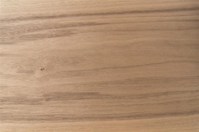 American Walnut